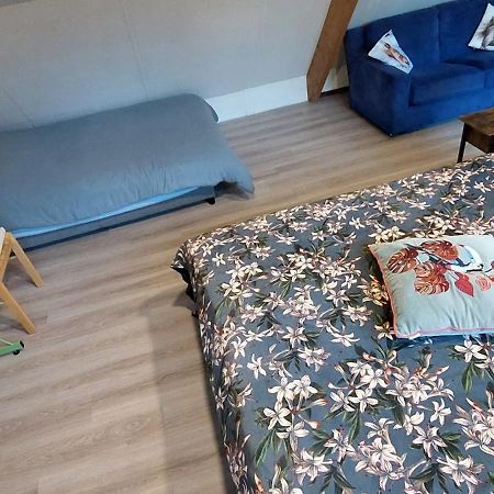 Superior Familiekamer 4 Personen Of Privekamer 2 Personen Anna Paulowna Eksteriør bilde